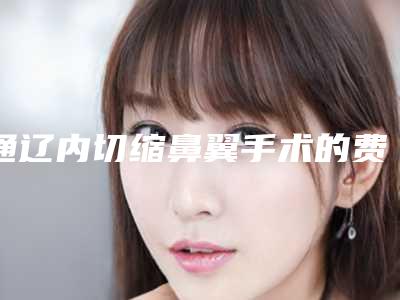 通辽内切缩鼻翼手术的费用及注意事项